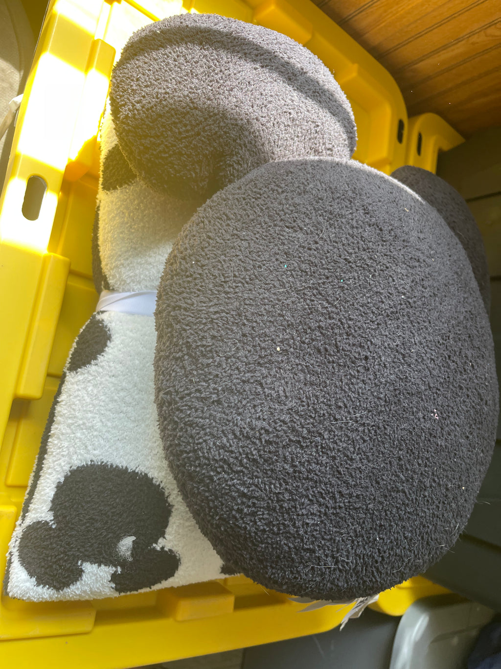 Mickey Mouse Pillow Set