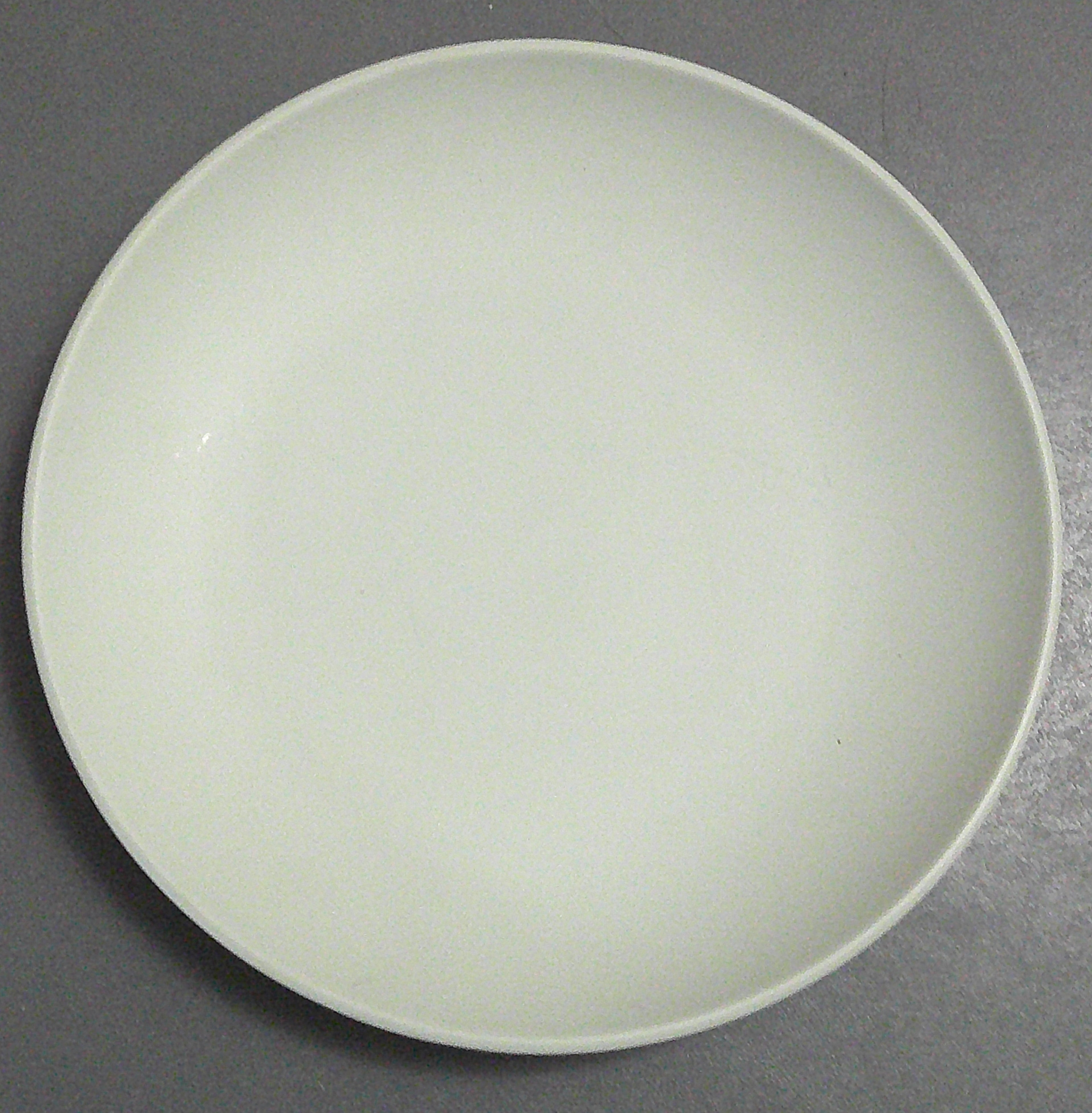 Threshold Dinner Plate Set Of 4